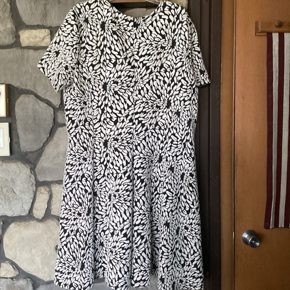 Pre-Owned Hutch Women's Size 3x Casual Dress - Picture 4 of 11